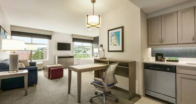 King Studio Suite with Kitchen, Work Desk, Living Area and Two Windows