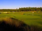 Grand Cypress golf course green