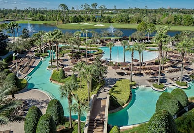 Aerial View of Large Outdoor Pool Area with Palm Trees