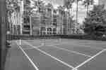 Sports Court