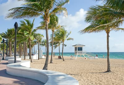 Fort Lauderdale Beach Wave Wall and Palm Trees