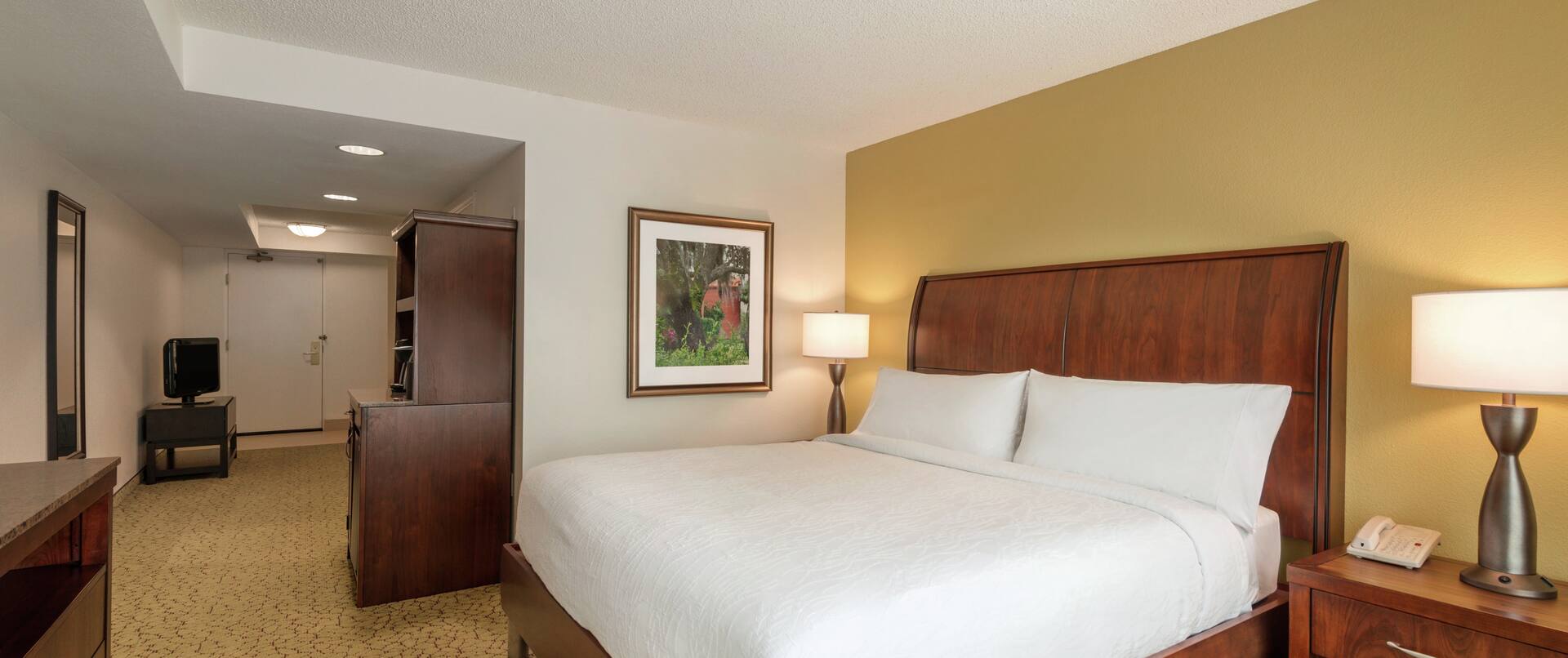 Guest Suite with King Bed, Television and Wet Bar