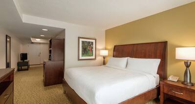 Guest Suite with King Bed, Television and Wet Bar
