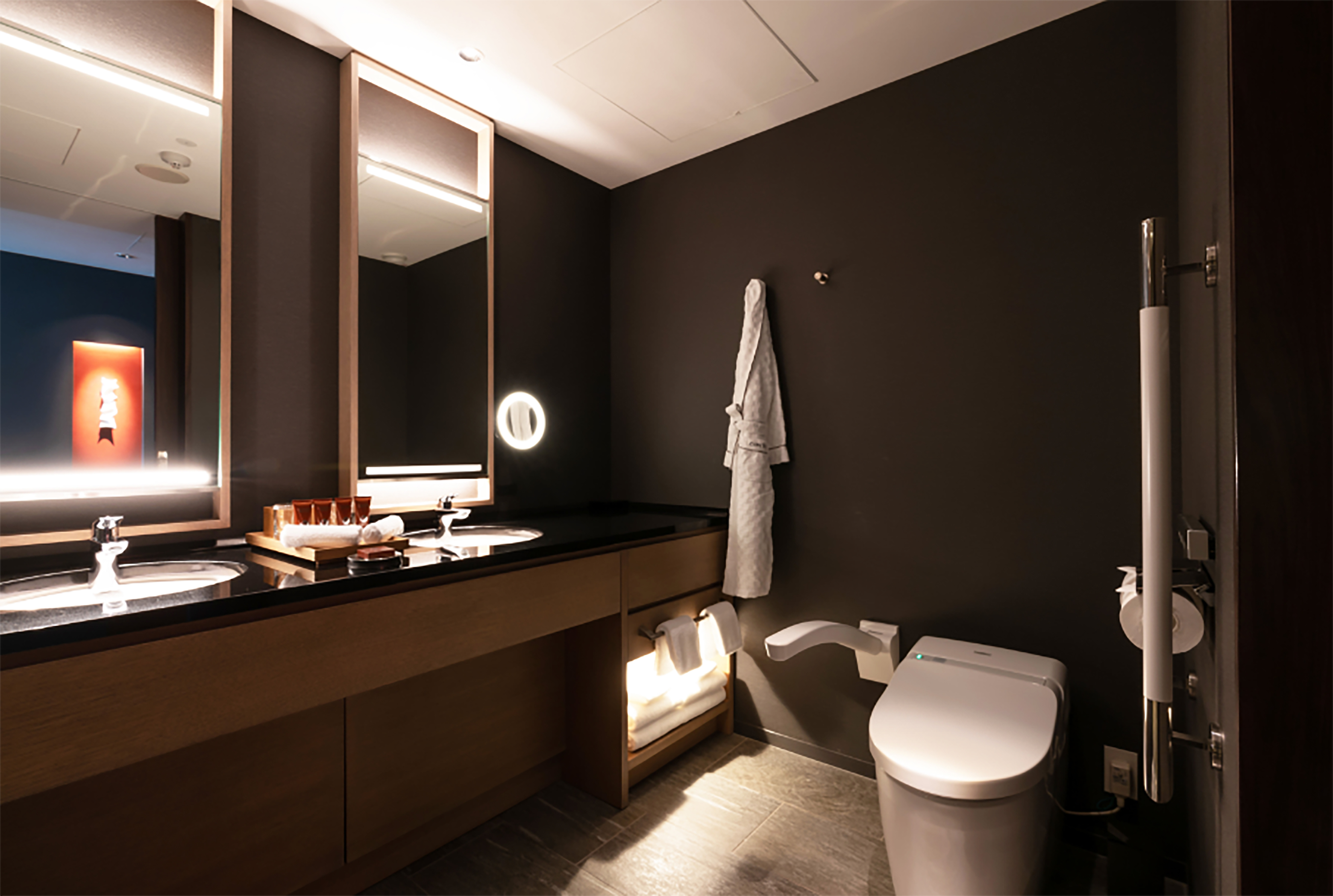 Accessible Bathroom with Vanity and Amenities 