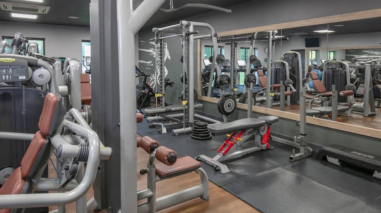 Exercise Equipment in a Fitness Center