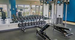 Fitness center with free weights area
