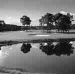 Pole golfowe West Palm Beach Area