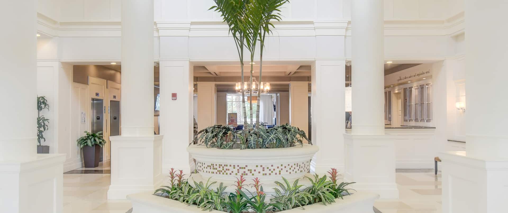 hotel lobby entrance, palm tree, plants
