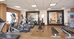 Fitness Center with Cross-Trainers, Treadmill and Weight Bench