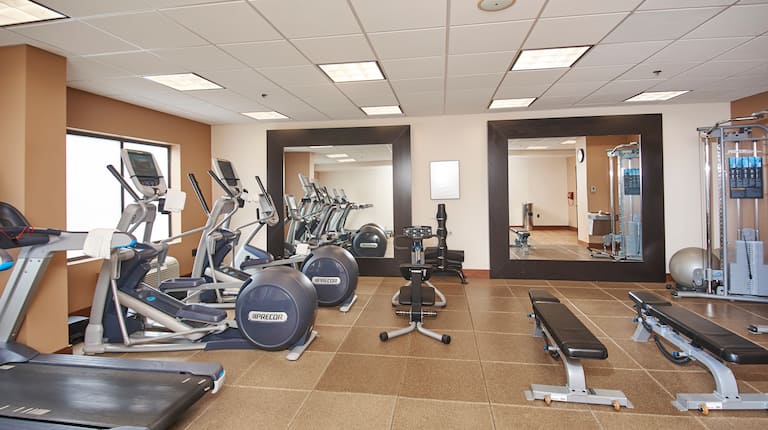 Fitness Center with Cross-Trainers, Treadmill and Weight Bench