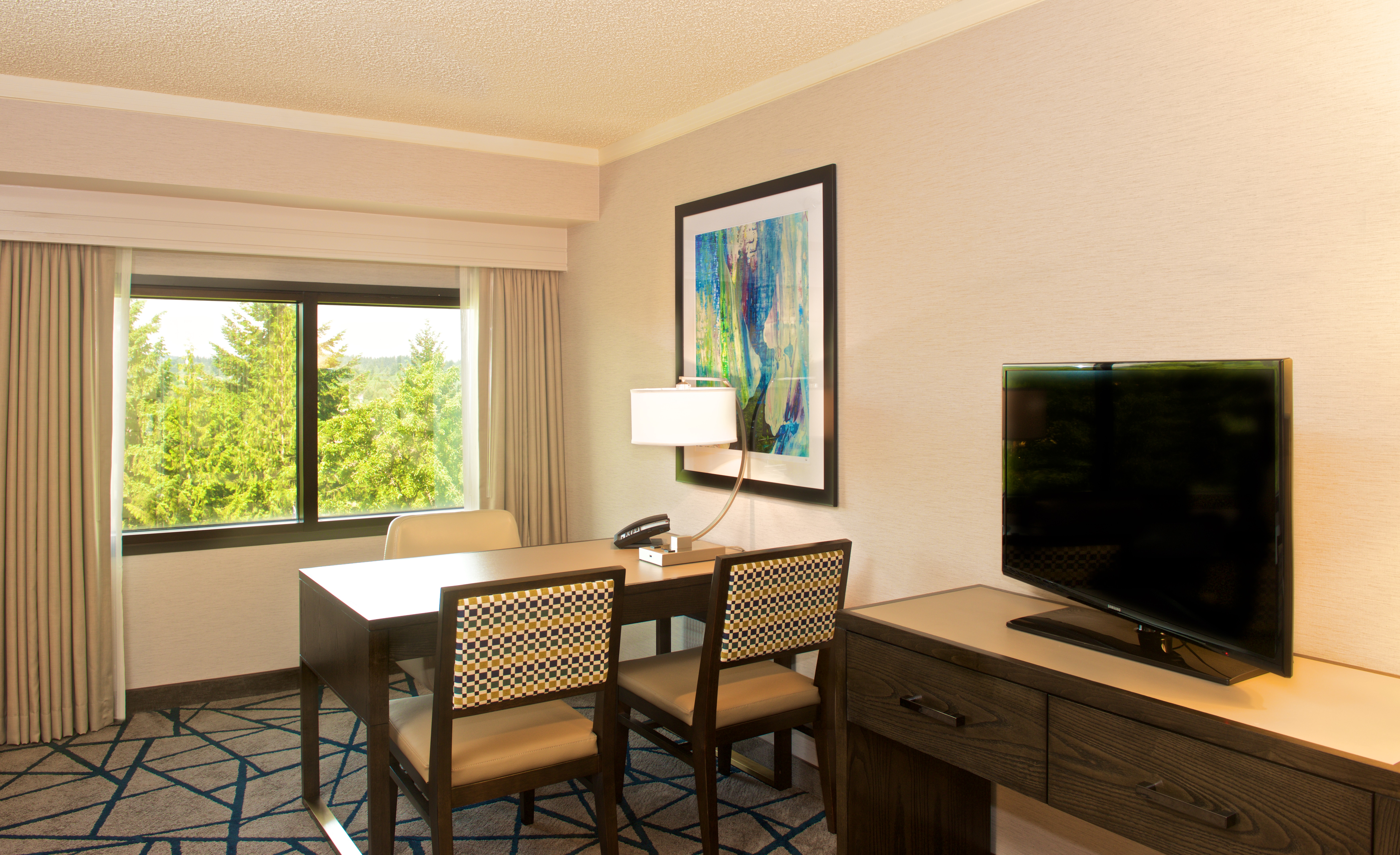 Guestroom Living Area with Work Desk, Television and Outside View