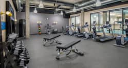 Fitness Center with Treadmills, Cross-Trainers, Weight Benches and Weight Rack