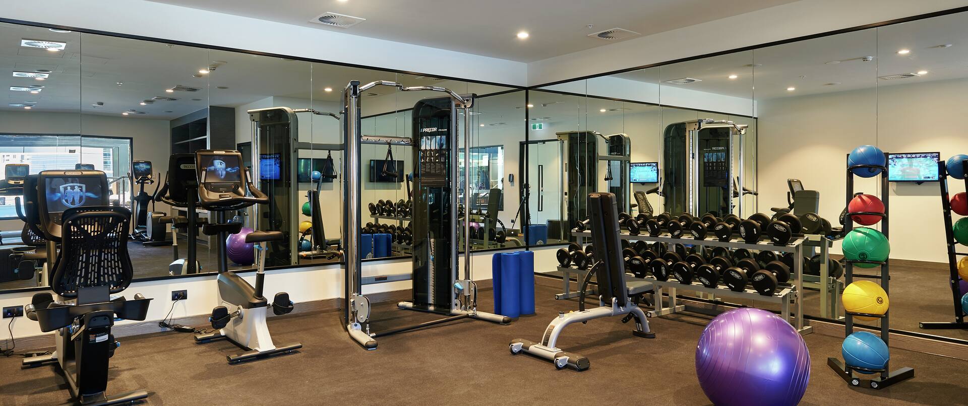 Fitness Center with Balance Ball, Elliptical Machines, Weights, and Dumbbells