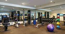 Fitness Center with Balance Ball, Elliptical Machines, Weights, and Dumbbells