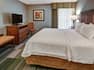 Guest Suite with King Bed and Television