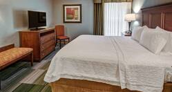 Guest Suite with King Bed and Television
