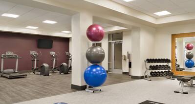 Fitness Center with Treadmill, Cross-Trainers, Gym Balls, Dumbbell Rack and Weight Bench