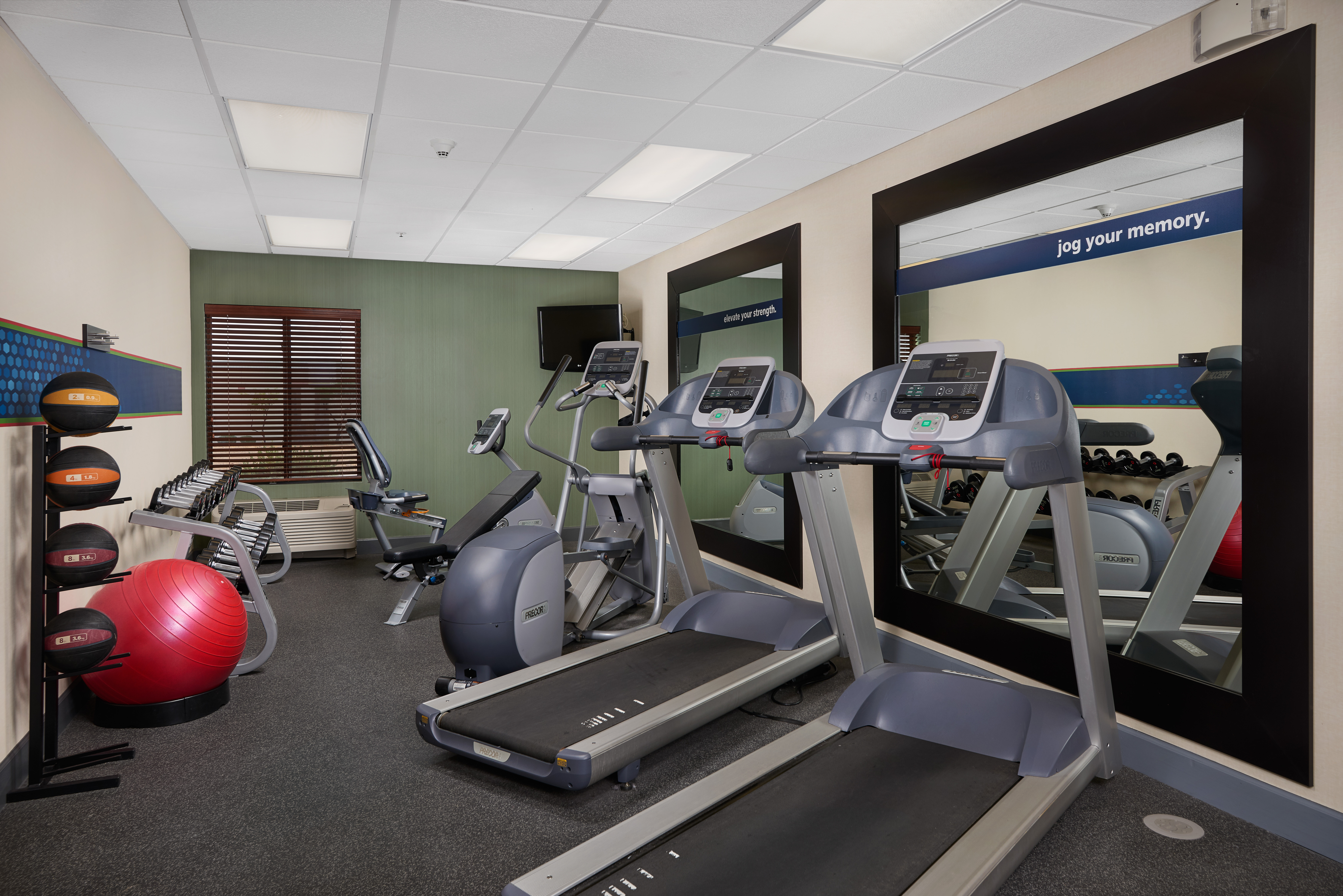 Fitness Center with Treadmills, Cross-Trainer, Cycle Machine, Dumbbell Rack, Gym Ball and Medicine Ball Rack