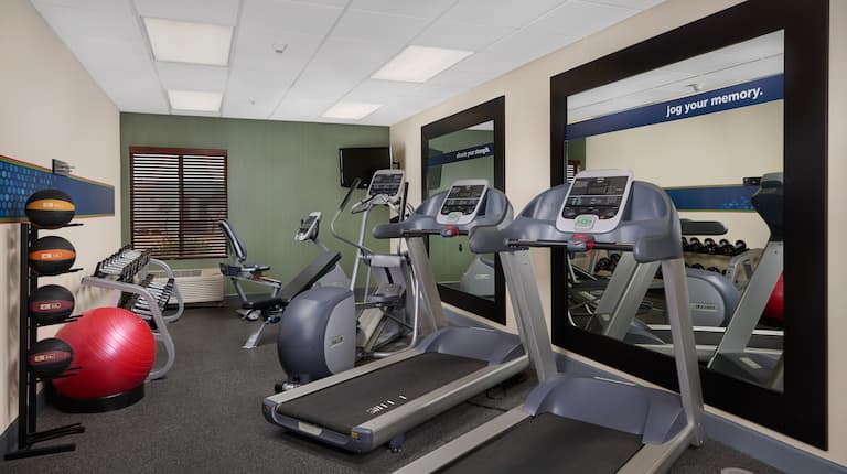 Fitness Center with Treadmills, Cross-Trainer, Cycle Machine, Dumbbell Rack, Gym Ball and Medicine Ball Rack