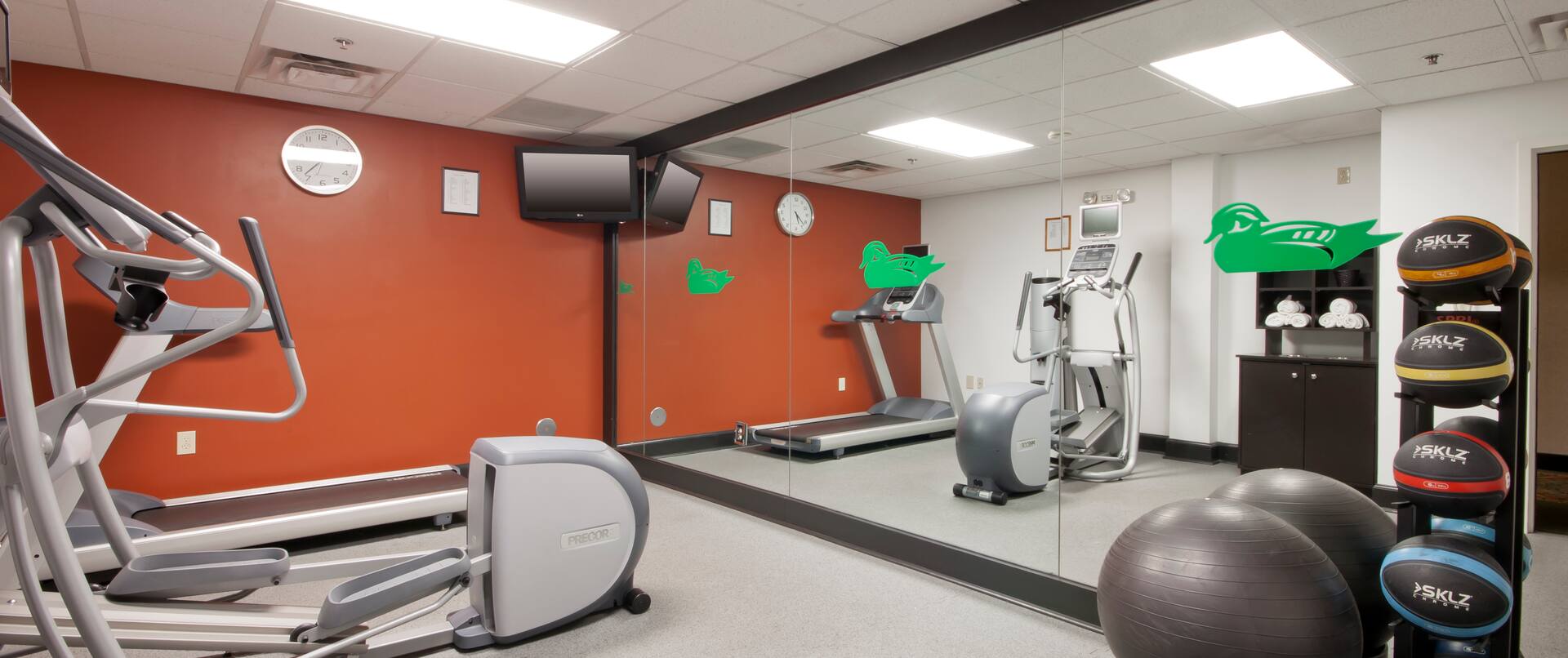 Fitness center with exercise machines and exercise balls