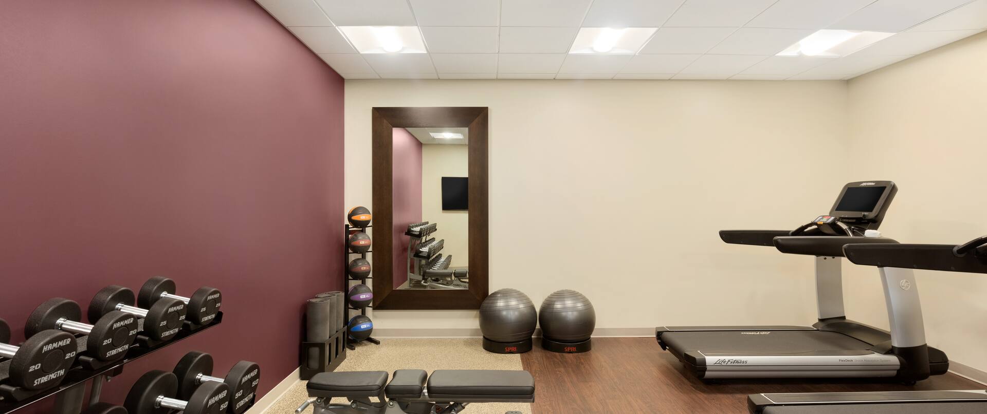 Fitness Center with Treadmills, Weight Bench, Gym Balls and Dumbbell Rack