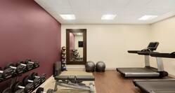 Fitness Center with Treadmills, Weight Bench, Gym Balls and Dumbbell Rack