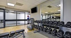 Fitness Room with Weights and Exercise Balls