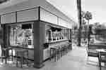 Daytime View of Counter Seating and View of Swimming Pool at Azure Bar Surrounded by Palm Trees