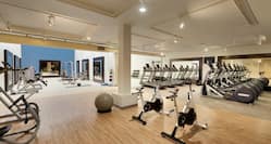 Fitness Center With TV,  Cardio Equipment, Exercise Ball, Large Mirrors, Aerobic Stepper, Weight Balls, and Free Weights