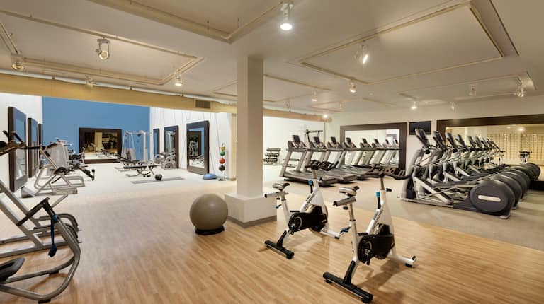 Fitness Center With TV,  Cardio Equipment, Exercise Ball, Large Mirrors, Aerobic Stepper, Weight Balls, and Free Weights