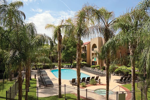 Outdoor Pool, Palm Trees, and Sun Loungers on Pool Deck