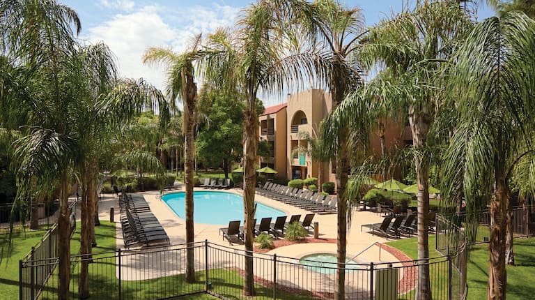 Outdoor Pool, Palm Trees, and Sun Loungers on Pool Deck