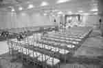 Chairs with Wedding Decor in the Picasso Ballroom 