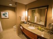 Bathroom Vanity with Amenities and Large Mirror