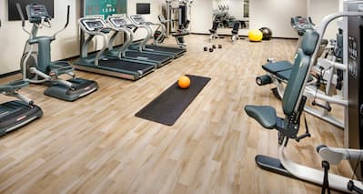 Fitness Center with Treadmills, Cross-Trainers, Weight Machines and Weight Benches