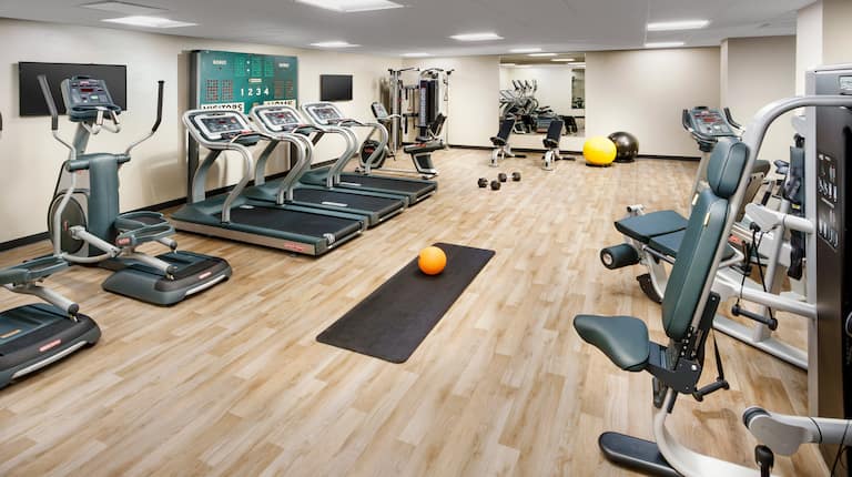 Fitness Center with Treadmills, Cross-Trainers, Weight Machines and Weight Benches