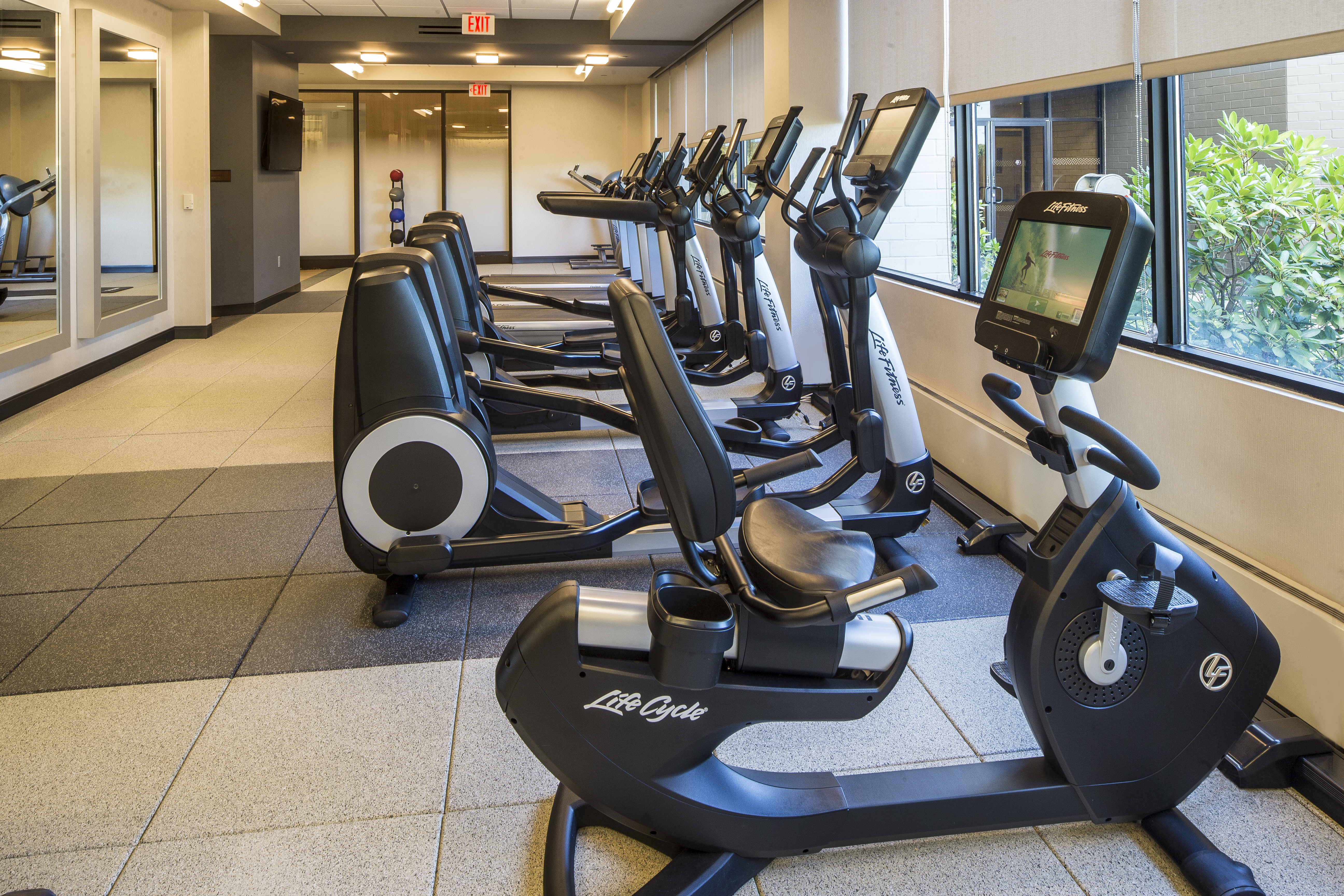 Fitness Room With Large Wall Mirrors, TV, Weight Balls, and Cardio Equipment Facing Windows With Outside View