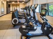 Fitness Room With Large Wall Mirrors, TV, Weight Balls, and Cardio Equipment Facing Windows With Outside View