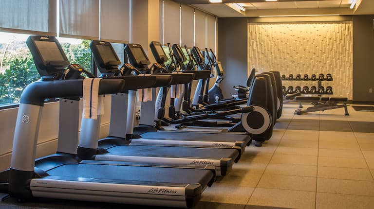Cardio Equipment Facing Windows With Raised Shades, Weight Bench, and Free Weights in Fitness Room