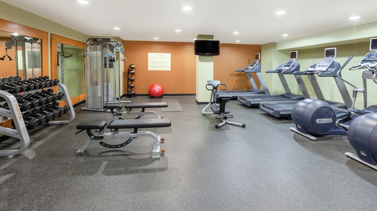 Fitness Center with Weight Benches, Dumbbell Rack, Wall Mounted HDTV, Treadmills and Cross-Trainers