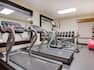 Fitness Center Cardio Equipment and Free Weights
