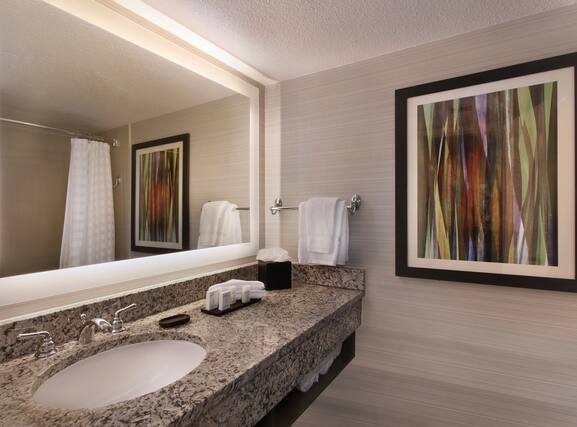 Embassy Suites by Hilton Palm Desert - Image4