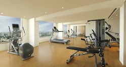 Gym With Cardio Equipment Facing Large Windows and Weight Machines
