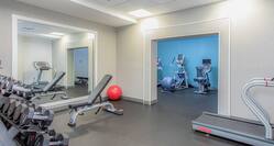 Fitness Center with Weight Bench, Dumbbell Rack, Treadmill, Cycle Machine and Cross-Trainer