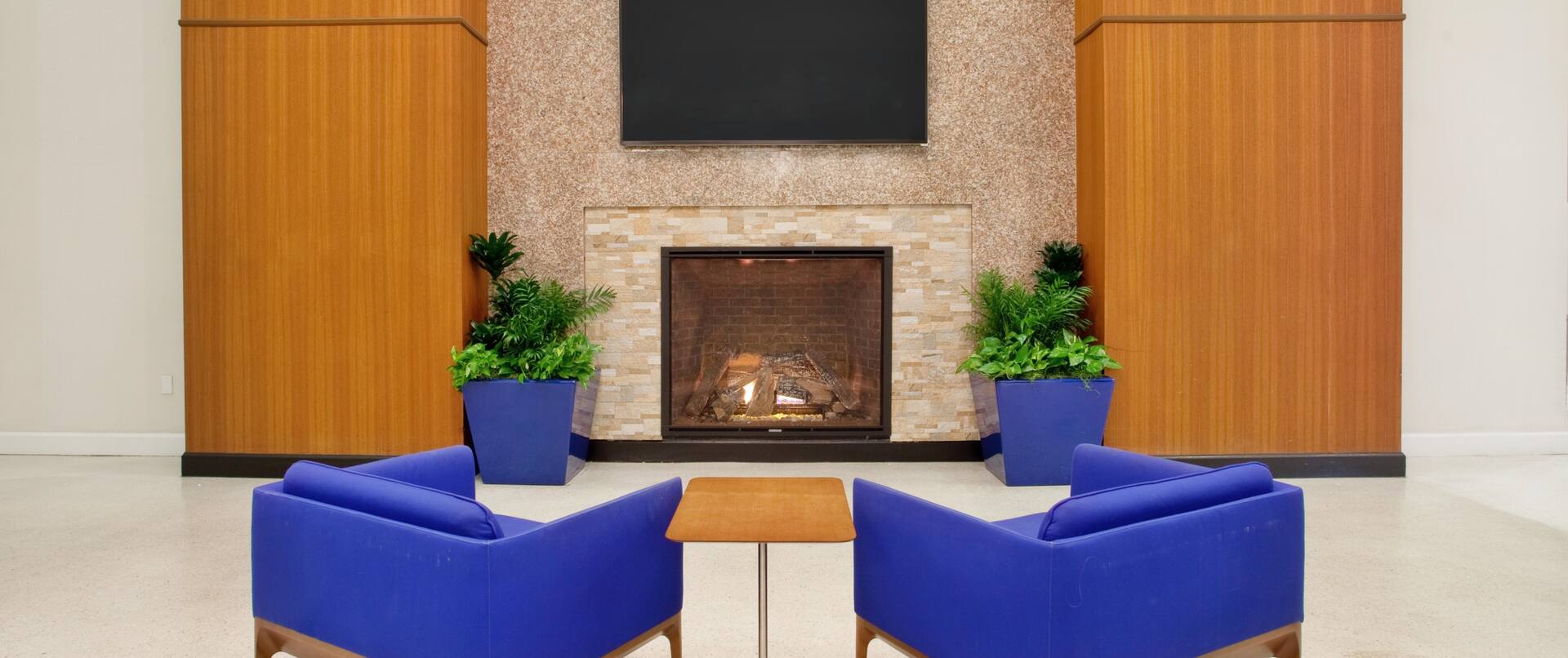 Fireplace of Lobby