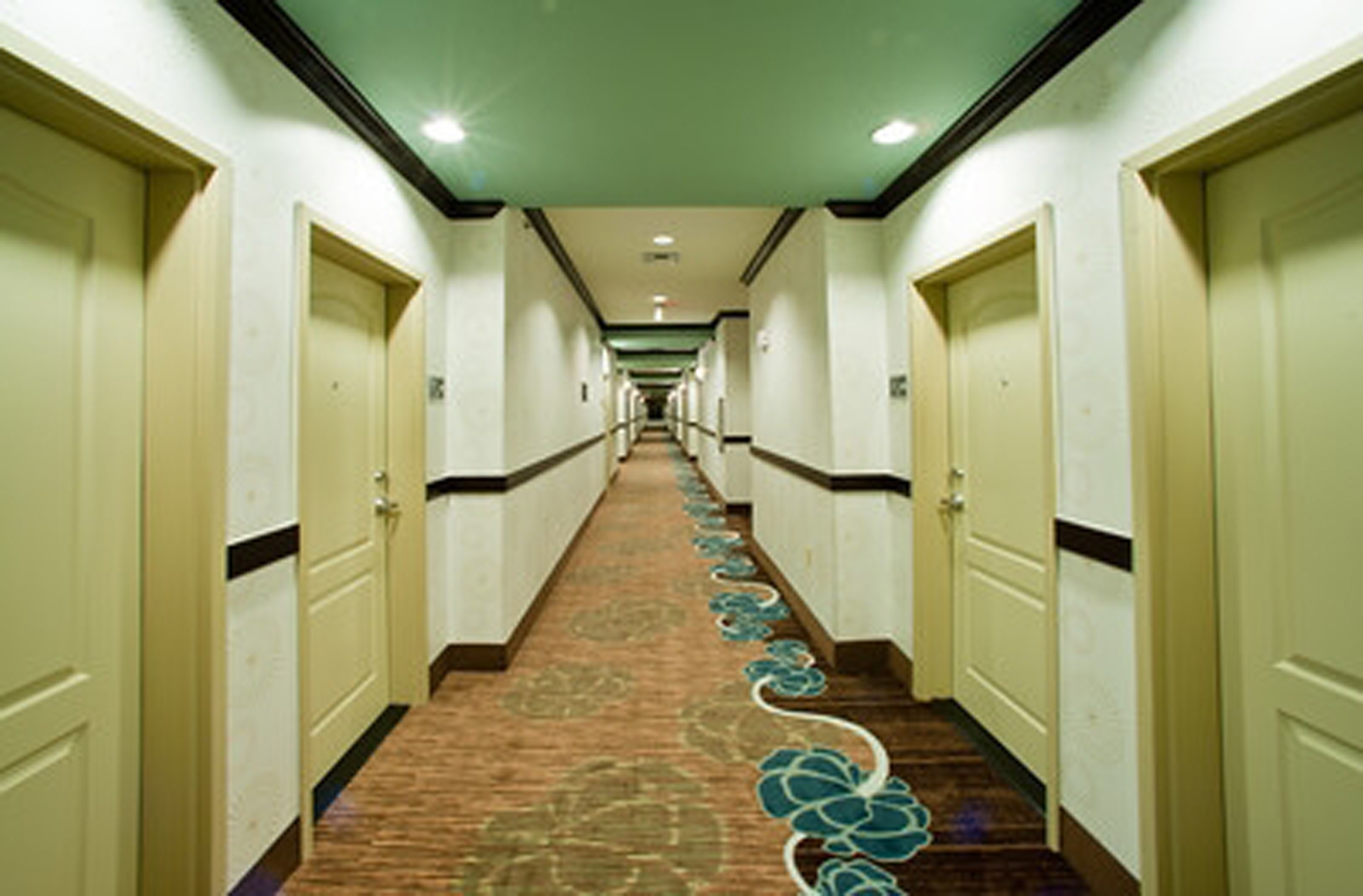 Luxurious Corridors 