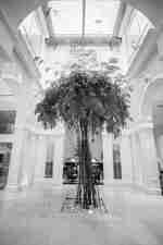 Decorațiuni din bambus în hol