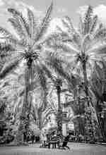 Zonă de zi pentru grădină