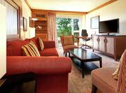 Executive Suite Living Room with Sofa and TV