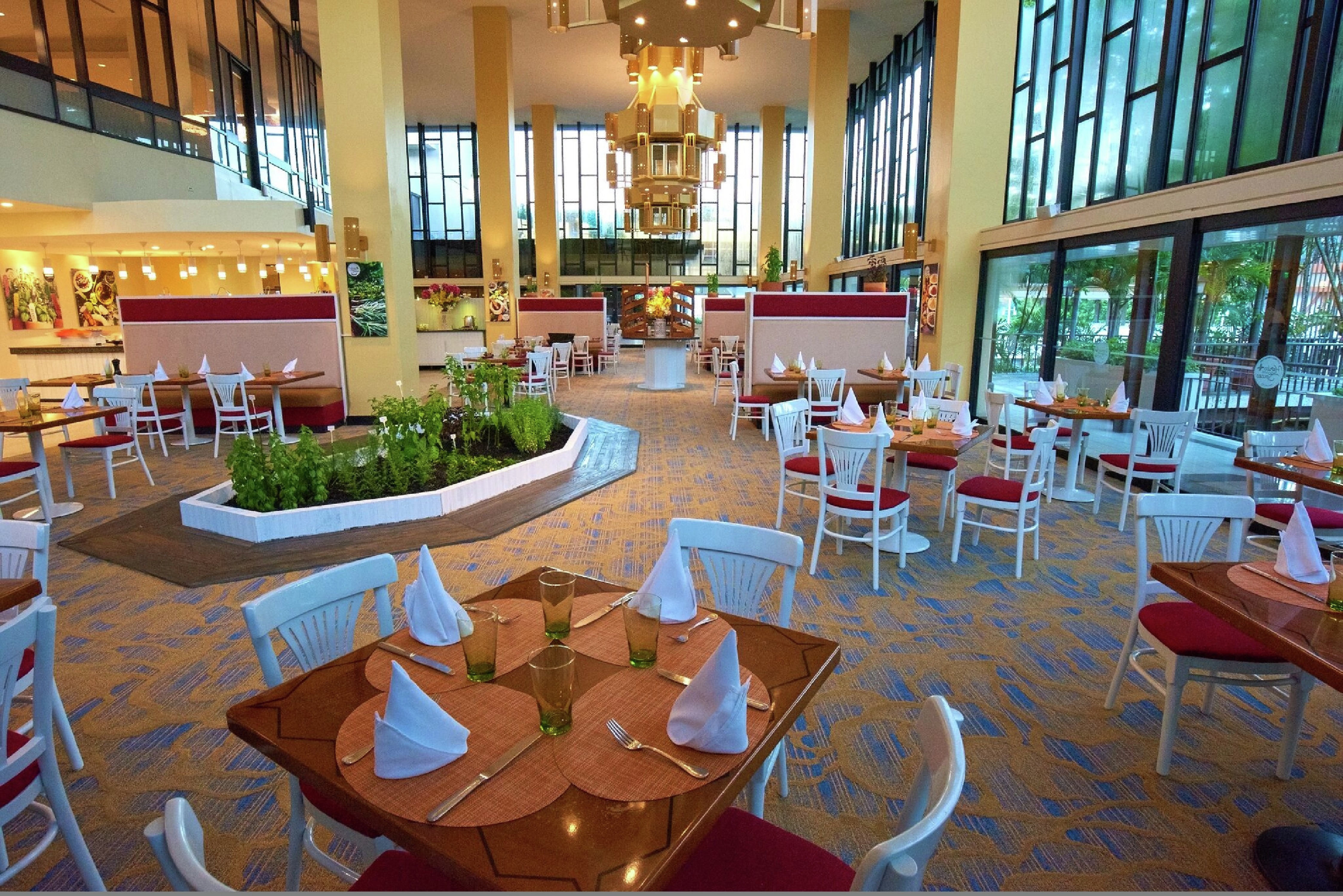 Overall View of Herb and Kitchen Restaurant Tables, Large Windows, and Herb Garden